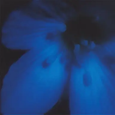 Profile image of 블루