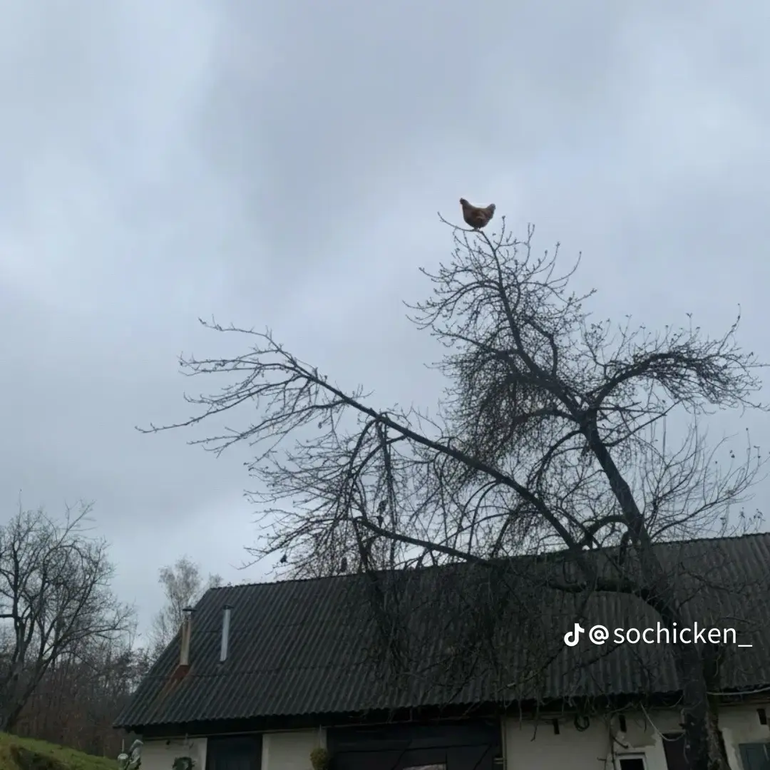 MatteBonus1608의 七つの大罪