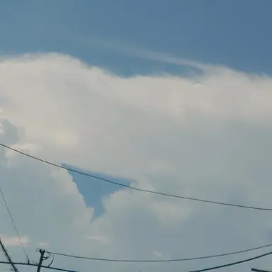 Profile image of キルア