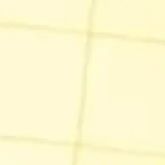 kondoo77의 GON　隣人⁠｡⁠*ﾟ⁠+