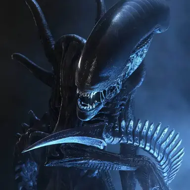 Profile image of 제노모프