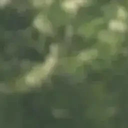 이지훈