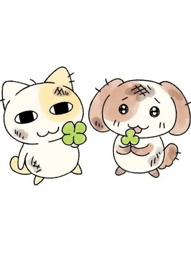 nzrrwaw의 ㅇㄹㅍㄷ