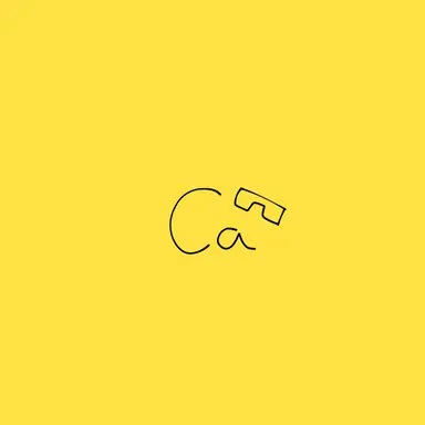 Profile image of カポレジーム