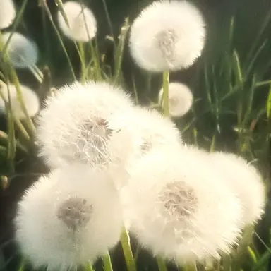 Profile image of 제타고등학교