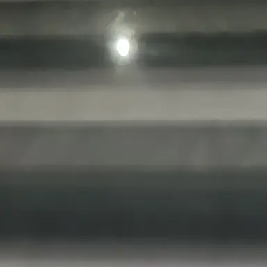 Profile image of 스태프