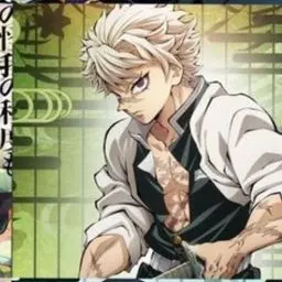 Profile image of Sanemi Shinazugawa