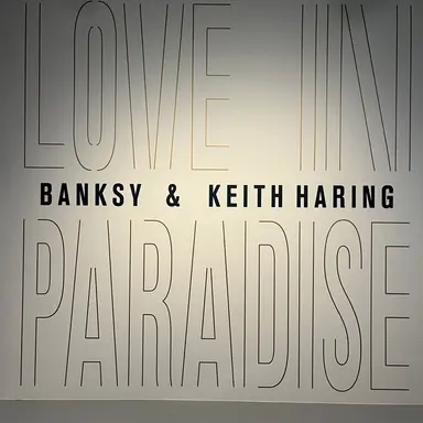 Profile image of 윤도운