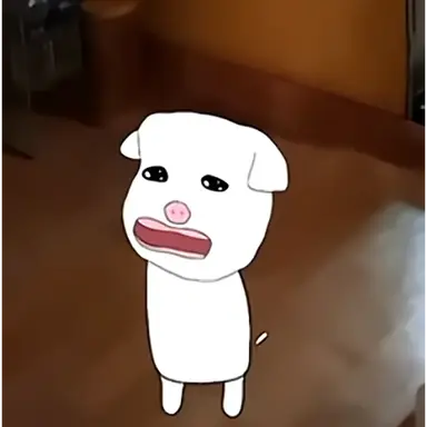 Profile image of 코알라 - 몰라