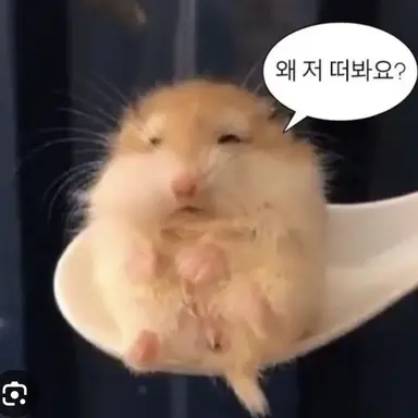 Profile image of 츠키쿠니 시즈쿠