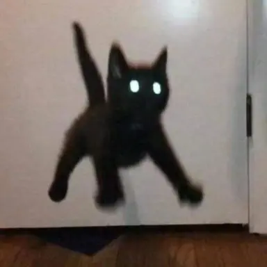 Profile image of 킹 갓