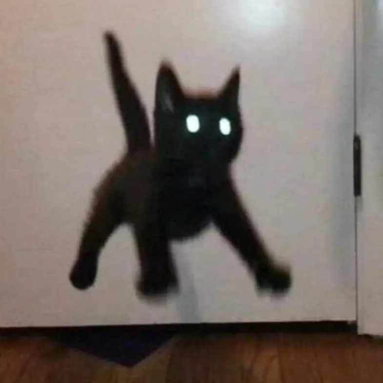 4gaze의 주인장과 대화하기