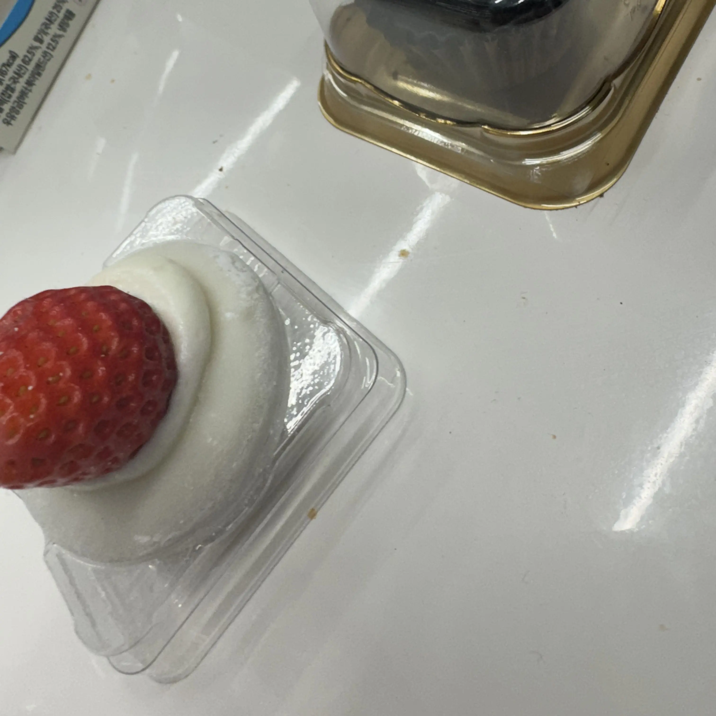 SONG_YON의 전학생