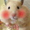 Profile image of 한사토