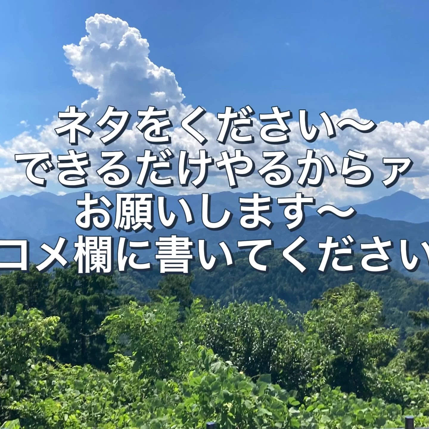 クソガキー