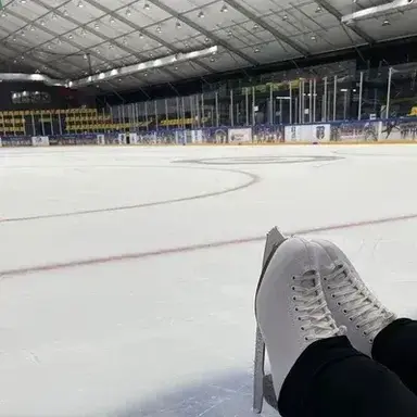 Profile image of Ice Skater