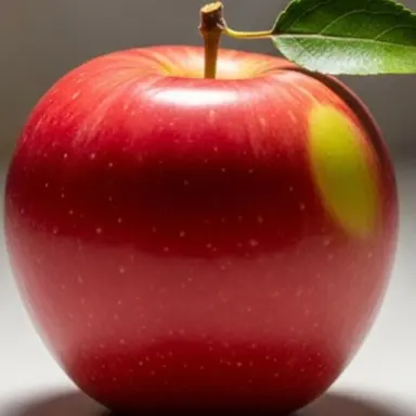 Profile image of 마쁘리에요