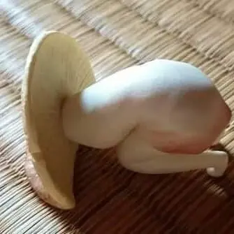 Profile image of 동심파괴 테디베어