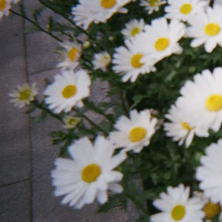 aespa_is_love의 유지민