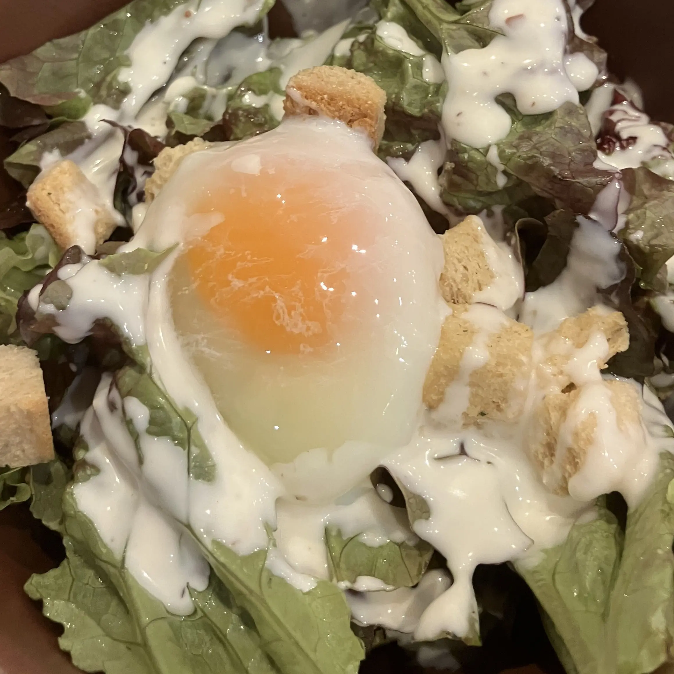 Scj_0122의 こじんよう