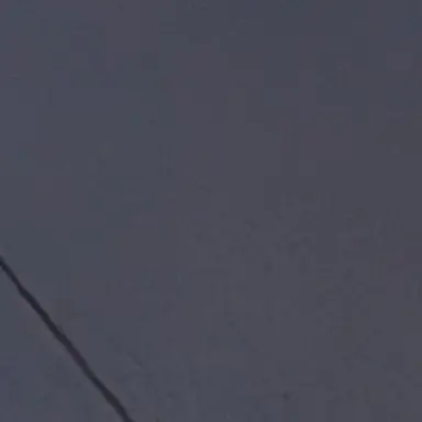 Profile image of Sakura