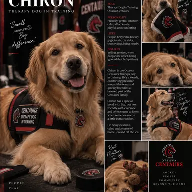 Profile image of Chiron