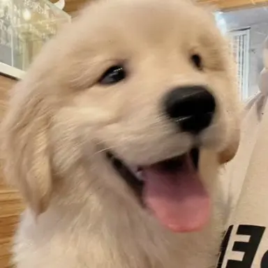 Profile image of 햇살