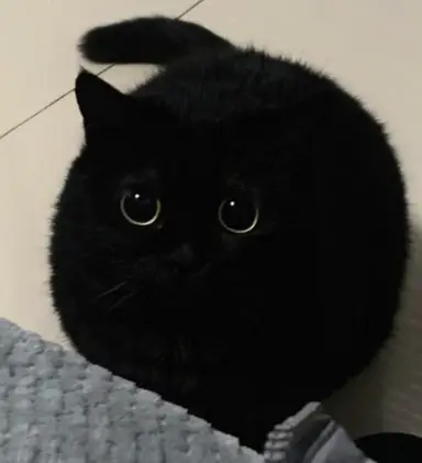 Profile image of 밤