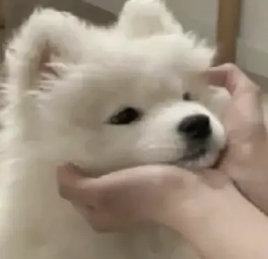 Profile image of 구름