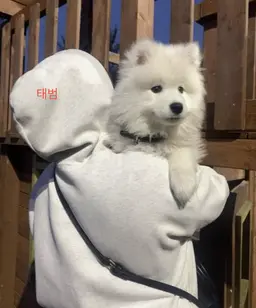 Profile image of 구름