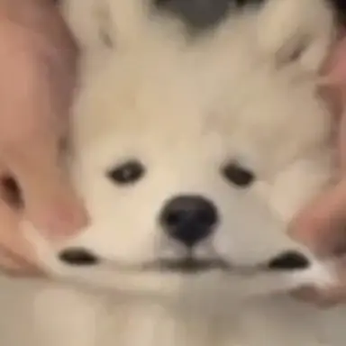 Profile image of 구름