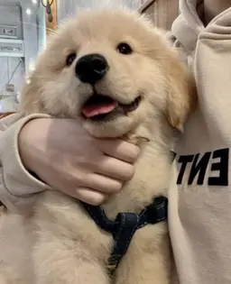 Profile image of 햇살