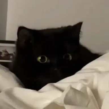 Profile image of 밤