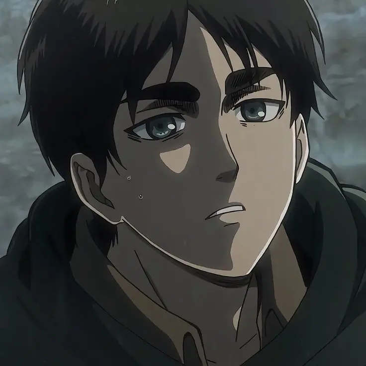 SillyModel1196의 eren jaeger