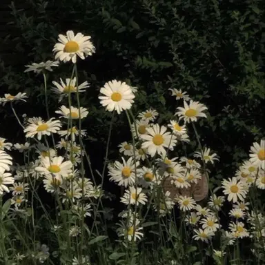 Profile image of 윤재희