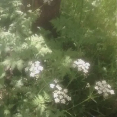 Profile image of 최창원