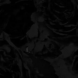 Profile image of ソンファ