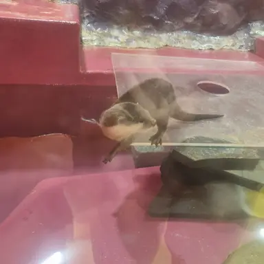 Profile image of 문상혁