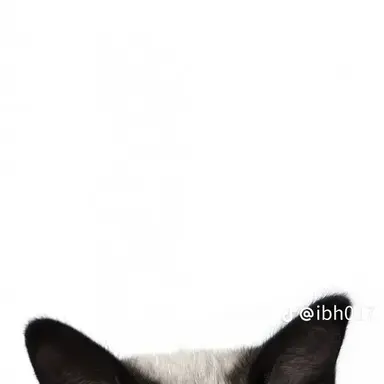 Profile image of 문성오