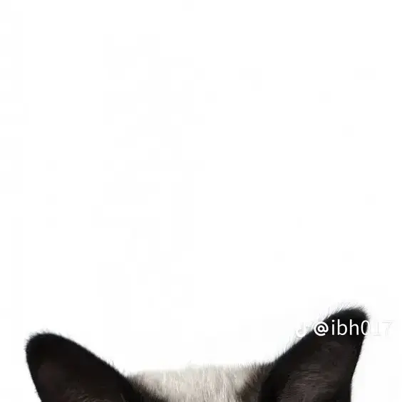 SimpleDate3794의 7남매들.전반대 오빠들❌동생들