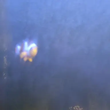 Profile image of 문동현