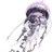 리버렐리오
