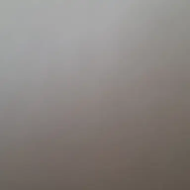 Profile image of 스티브