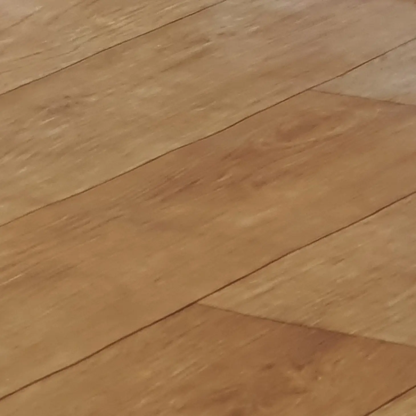 MOATXT_LOVE의 오비스트