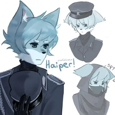 Profile image of Haiper
