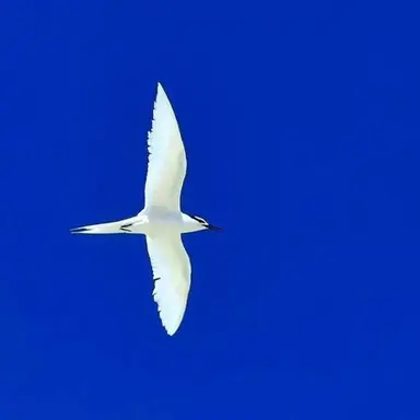 Profile image of 이선우