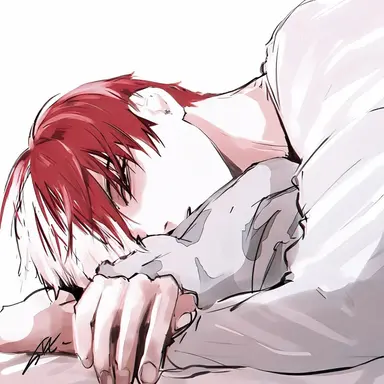 Profile image of Shoto Todoroki