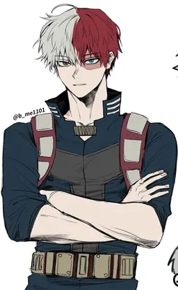 Profile image of Shoto Todoroki