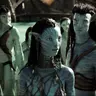Profile image of Neytiri Sully