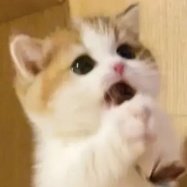 Profile image of 김규빈